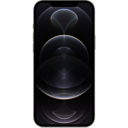iPhone 12 Pro Max 17 cm (6.7') Doppia SIM iOS 14 5G 128 GB Grafite - Apple precio