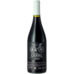 EL CHAVAL - BODEGAS NODUS precio