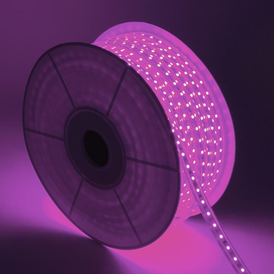 Ledkia - Bobina Striscia LED 220V AC SMD5050 60 LED/m Viola (50 Metri) Taglio ad Ogni 100cm
