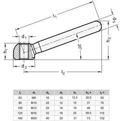 Ganter Normelemente - Ganter Norm elementi | Dado di serraggio – GN 99.5 | Acciaio zincato, argento, GN 99.5-160-M20 en oferta