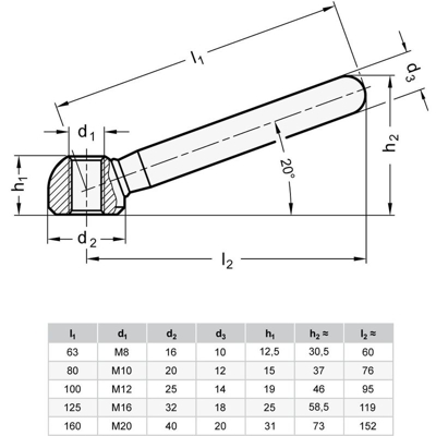 Ganter Normelemente - Ganter Norm elementi | Dado di serraggio – GN 99.5 | Acciaio zincato, argento, GN 99.5-160-M20