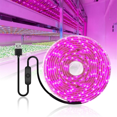 Grow light strip Lampada fito con chip USB 2835 a spettro completo impermeabile per piante fiori serra idroponica (tipo A 500CM)