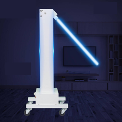 Macchine rimovibili con luce germicida a raggi ultravioletti 220V 50HZ con sterilizzatore per la disinfezione UVC características