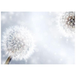 Fotomurale Per Soggiorno, Camera Da Letto N. 274 - Formato 300x210 Cm precio