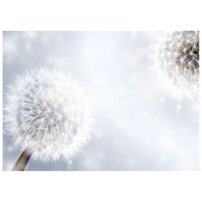 Fotomurale Per Soggiorno, Camera Da Letto N. 274 - Formato 300x210 Cm