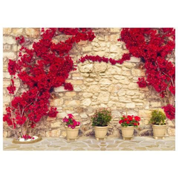 Fotomurale Per Soggiorno, Camera Da Letto N. 2919 - Formato 300x210 Cm características