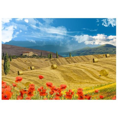 Fotomurale Per Soggiorno, Camera Da Letto N. 96 - Formato 300x210 Cm