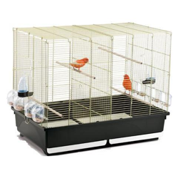 Tasha Cage Birds precio