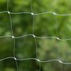 Rete di protezione trasparente per gatti - 3 x 2 m
