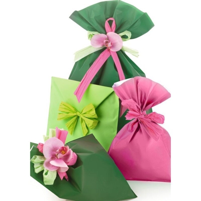 Piennepi Confezione 100 Buste Fondo Pieno Opaco 16x25cm