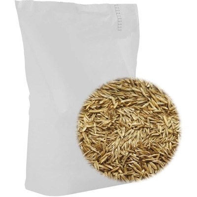vidaXL Semi di Erba per Prato 10 kg