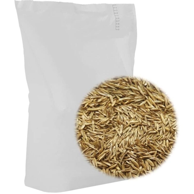 vidaXL Semi di Erba per Prato 15 kg