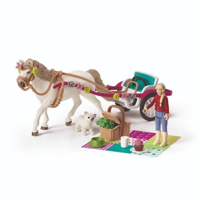 Carrozza per lo spettacolo dei cavalli