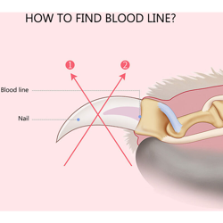 Tagliaunghie per animali domestici con fibbia piccola rossa e nera características
