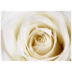 Fotomurale Per Soggiorno, Camera Da Letto N. 2995 - Formato 300x210 Cm en oferta