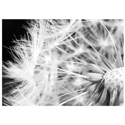 Fotomurale Per Soggiorno, Camera Da Letto N. 9799 - Formato 300x210 Cm