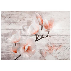 Fotomurale Per Soggiorno, Camera Da Letto N. 9732 - Formato 300x210 Cm precio