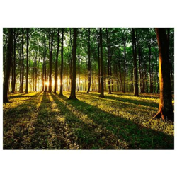 Fotomurale Per Soggiorno, Camera Da Letto N. 3044 - Formato 300x210 Cm en oferta