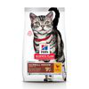 Hill's Science Plan Adult Hairball & Indoor Pollo - Set %: 2 x 10 kg precio