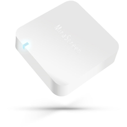 Auto WiFi wireless con schermo AV + HDMI doppia interfaccia tesoro push wireless características