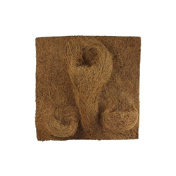 Reptiles Planet - Rettili Planet Decorazione di Fondo in Cocco per terrario per Planter 40Â x 40Â x 1Â cm en oferta