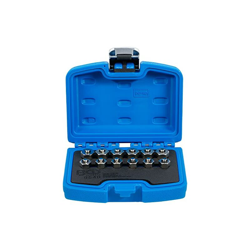 BGS 9540 Set di Tappi di Chiusura per iniettore, 12 Pezzi en oferta