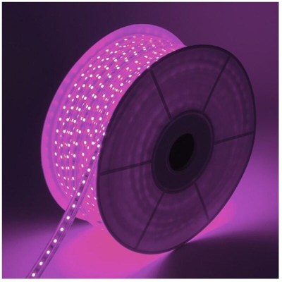 Ledkia - Striscia LED 220V AC 60 LED/m Viola IP65 Taglio ad Ogni 100cm 11m