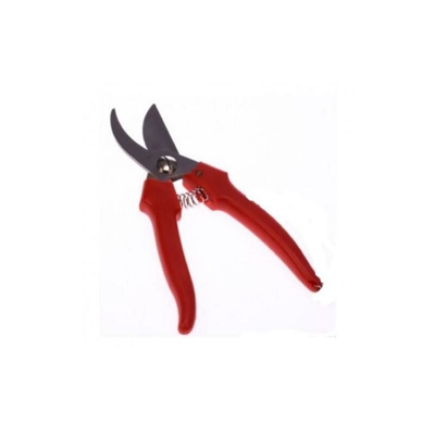 F.lli Daprile - Forbice cogliuva inox DAPRILE #01327