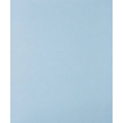 45015080 Carta abrasiva a mano Grana 800 (L x L) 280 mm x 230 mm 50 pz. - Pferd