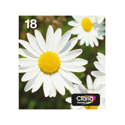 Daisy Multipack Margherita 4 colori Inchiostri Claria Home 18 in confezione EasyMail Packaging - Epson en oferta