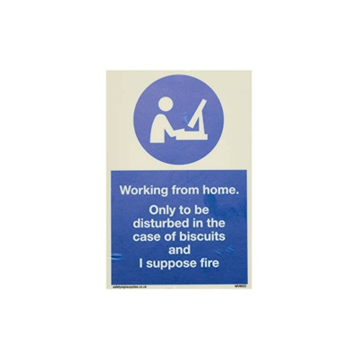 Lavorare da casa solo per essere disturbato nel caso di biscotti e suppongo fuoco