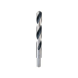 Bosch Punta elicoidale HSS PointTeQ da 17,0mm, attacco ridotto - 2608577312 en oferta