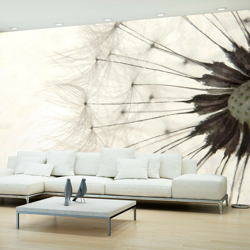 Fotomurale - White Dandelion - 100x70 en oferta