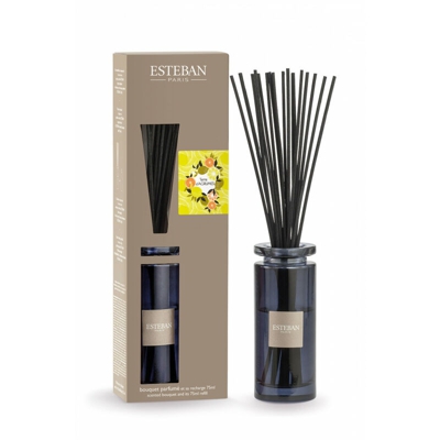 Esteban Paris Diffusore A Bastoncino Bouquet 150Ml Terre D'Agrumes Profumatori Ambienti
