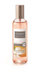Esteban Paris Vaporizzatore Spray Per Ambiente 100Ml Fiori D'Arancio precio
