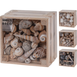 Box In Legno Conchiglie Decorative 13X8Cm Assortite Accessori Decoro Casa características