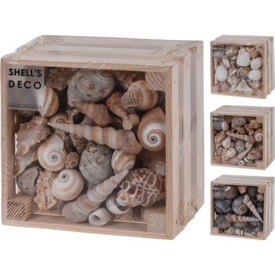 Box In Legno Conchiglie Decorative 13X8Cm Assortite Accessori Decoro Casa