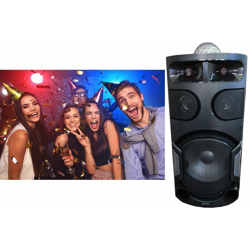 Cassa trolley speaker microfono disco ball LED portatile USB SD card radio 12V características