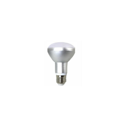 Silver - R63 E27 8W 5000K LUCE A LED CON RIFLETTORE características