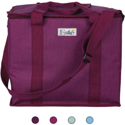 Borsa Termica 30 Litri Con Interno In Alluminio Colori Assortiti características