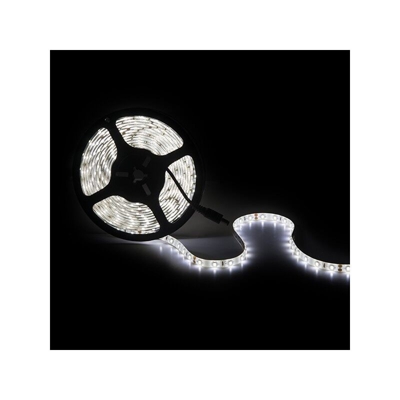 Striscia Led 300 LEDs 40W SMD2835 24VDC IP65 x 5M | Bianco Freddo (GR-RDT2835-60-24-IP65-CW)
