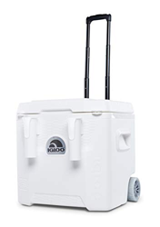 Igloo Marine Quantum 52 Roller Frigorifero con ruote, 49 Litro, Bianco precio