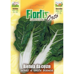 Orvital Spa-semi - Bietola Verde a Costa Bianca en oferta