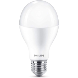 Signify Italy S.p.a. - Lampadina Led Goccia 120w 2700K características