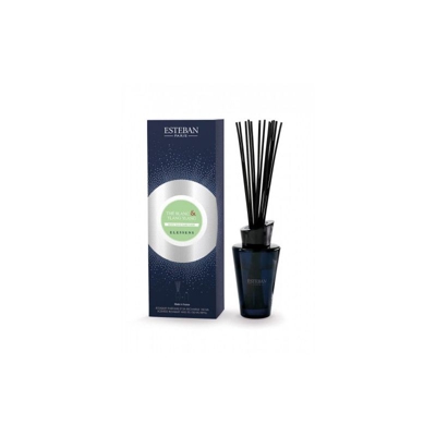 Esteban Paris Diffusore A Bastoncino 150 Ml The Blanc&Ylang