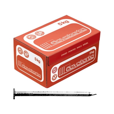 PUNTE P 20X100 ' ' (1 KG) - Cavatorta