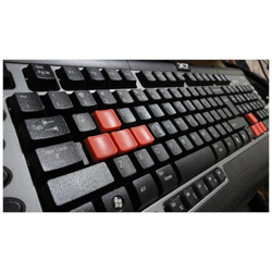 Tastiera X7-G800V-DE Interfaccia USB Colore Nero precio