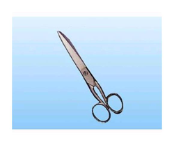 EAC - Forbici da lavoro in acciaio inox Lunghezza pollici 7 Conf. 12 Pz características