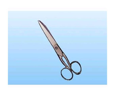 EAC - Forbici da lavoro in acciaio inox Lunghezza pollici 7 Conf. 12 Pz