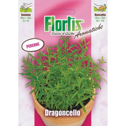 Orvital Spa-semi - Dragoncello precio